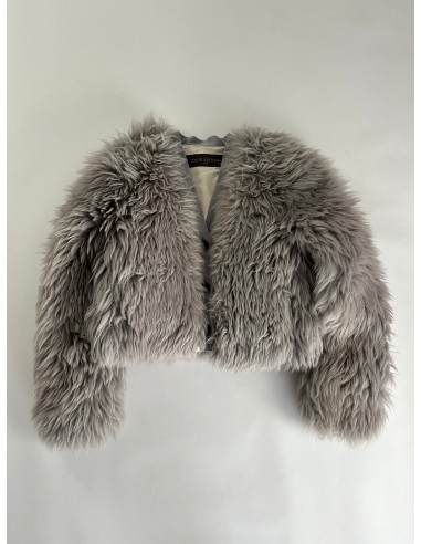 Louis Vuitton Sample Light Grey Fur Crop Jacket FW 2015 - S soldes