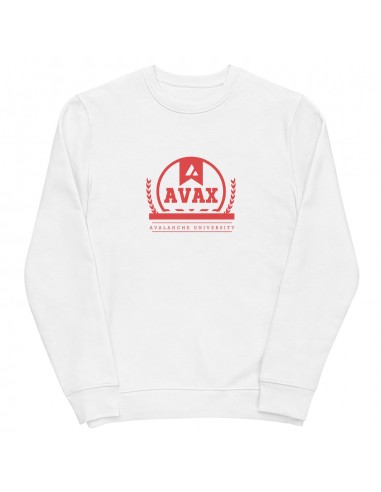 University Crewneck pas cher 