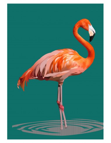 Illustration flamant rose les ligaments